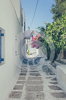 Narrow Cobblestone Streets on a Greek Island