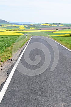 narrow country road in the Eifel near Welling, spring 2021 photo