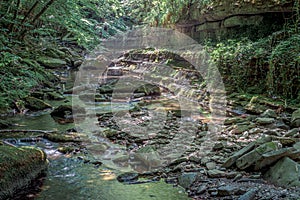 Narrow creek in the Northern Apennines