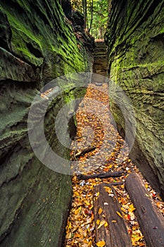 Narrow Crevice photo