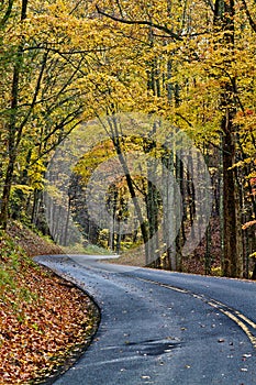 Narrow curvy mountain road