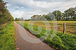 Narrow cycling and walking path in a natural environment