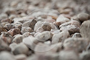 Narrow depth of field of thousands pink pebbles on the ground