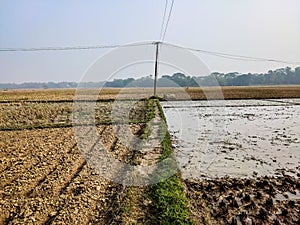 A narrow dirt road stretches across the horizon, between muddy farmland on one side and dried potato land on the other in India