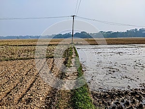 A narrow dirt road stretches across the horizon, between muddy farmland on one side and dried potato land on the other in India