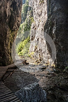 Narrow enter to Prosiecka dolina valley named Vrata with steep rocka, stream and hiking trail in Chocske vrchy mountains in Slovak