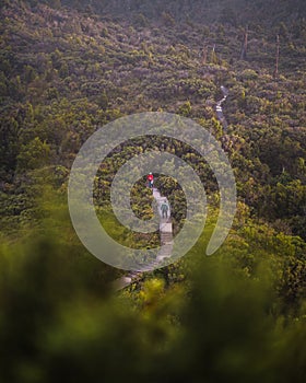 Narrow footpath through canyon forest with tourists exploiting the mountains