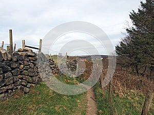 Narrow footpath between a dry stone wall and fence surrounding a meadow in west yorkshire countryside near heptonstall