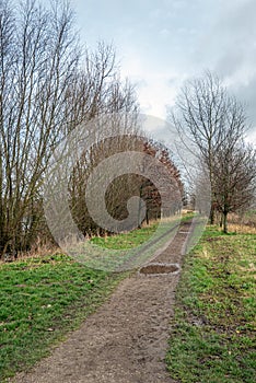 Narrow footpath in a Dutch park in autumn