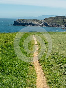 Narrow footpath between green pasture and ocean cliff