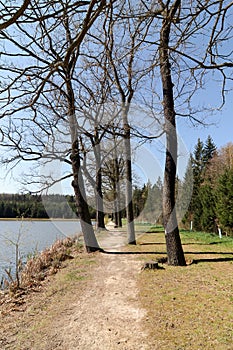 Footpath on the pond dike photo