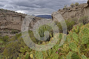 A narrow Footpath wends its way between the steep cliff edges of a Volcanic Valley with Cacti Plants.