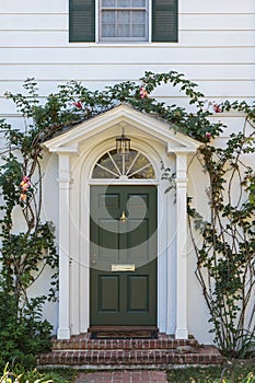 Narrow front door in upscale home