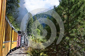 The Narrow Gauge Railway from Durango to Silverton that runs through the Rocky Mountains by the River Animas In Colorado USA