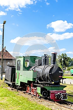 narrow gauge railway, Elk, Warmian-Masurian Voivodeship, Poland