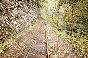 Narrow gauge railway. Guama gorge. photo