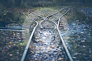 Narrow gauge railway - railway turnout - rails in the autumn forest