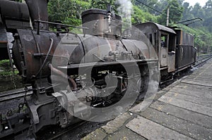 The narrow-gauge Steam train