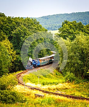 Narrow-gauge steam train