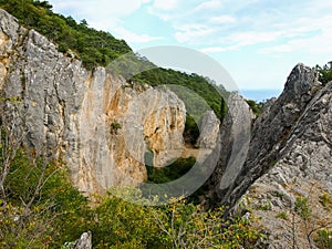 Narrow gorge in the rocks on a forested slope, top view