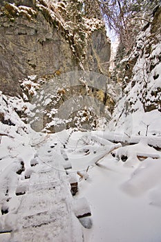 Narrow gorge in Sucha Bela gorge in Slovak Paradise during winter