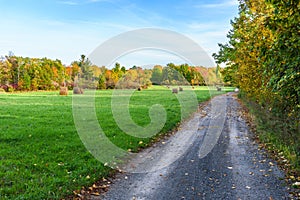 Narrow gravel road along a meadow dotted with hay bales on a sunny autumn day