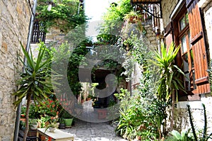 Narrow Greek Cyprus Street - Stone houses with loads of green plants