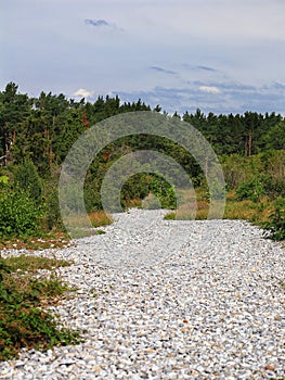 Narrow heath with firestone fields - a nature reserve on Ruegen in northern Germany