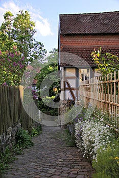 Narrow lane with garden fence