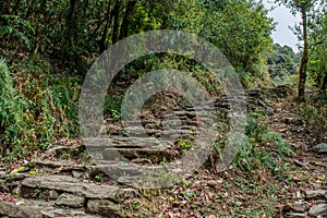 Narrow long trekking road made of rocks in the forest at Mardi Himal trek