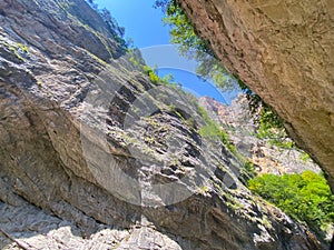 narrow mountain gorge
