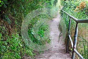 Narrow nature path with railing.