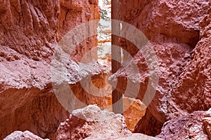 Narrow Navajo hiking trail through massive cliffs of hoodoo sandstone rock formation in Bryce Canyon National Park, Utah, USA