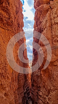 Narrow Navajo hiking trail through massive cliffs of hoodoo sandstone rock formation in Bryce Canyon National Park, Utah, USA