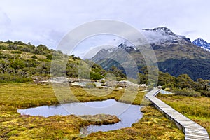 Narrow path in an alpine meadow