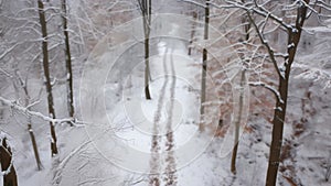 A narrow path amidst a winter wonderland with frostcovered branches forming a delicate archway above and crunchy snow