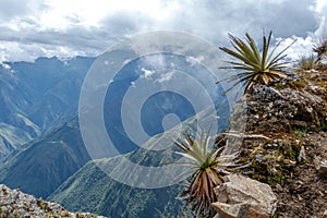 Narrow path on the hiking trail at high altitude Peruvian mountains between Maizal and Yanama, Peru photo