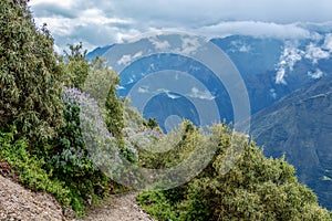 Narrow path on the hiking trail at high altitude Peruvian mountains between Maizal and Yanama, Peru photo