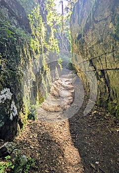 narrow path in the middle of high rocks in the dense forest