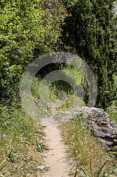 Narrow path in the mountains Cyclades, Andros Island, Greece