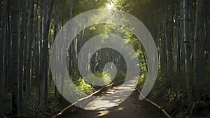 A narrow path winding through a dense bamboo forest.