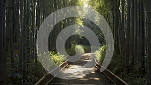 A narrow path winding through a dense bamboo forest.