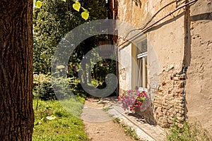 A narrow path through the yard, running under the window of an old tenement house