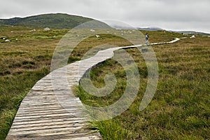 Narrow pathway in Connemara National Park in Ireland under a cloudy sky photo