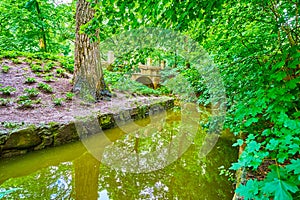 The narrow river flows among greenery of arboretum Sofiyivsky Park in Uman, Ukraine