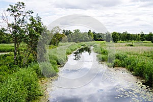 Narrow river in green fields