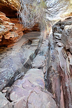 The narrow river trail. Kalbarri National Park. Western Australia. Australia