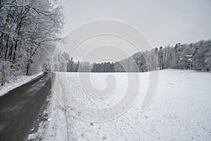 Narrow road along a snow-covered field with leafless fir forest trees