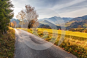A narrow road through an autumn landscape with mountains
