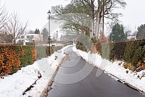 Narrow Road Lined with Hedgerow on a Foggy Winter Morning